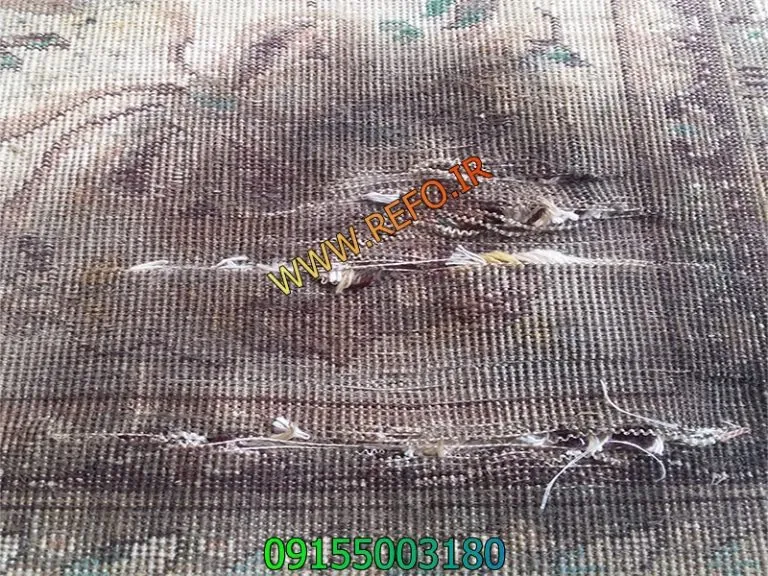 پوسیدگی فرش ماشینی بر اثر رطوبت و نم